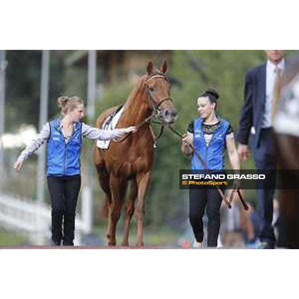 Powder Snow - Godolphin Roma - Capannelle racecourse,23rd october 2016 ph.Stefano Grasso
