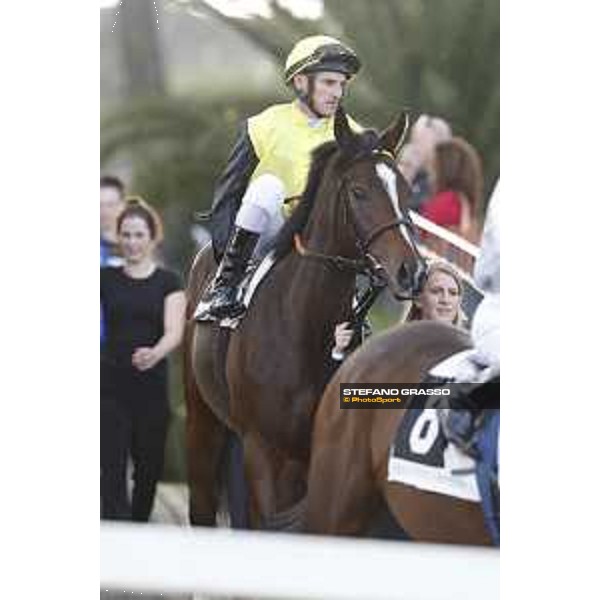 Amdrasc Starke - Sarandia Roma - Capannelle racecourse,23rd october 2016 ph.Stefano Grasso