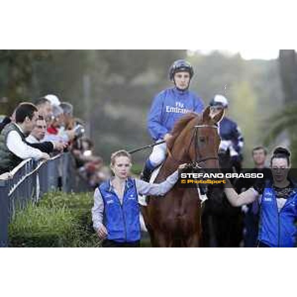 Powder Snow - Godolphin - A.Lemaitre Roma - Capannelle racecourse,23rd october 2016 ph.Stefano Grasso