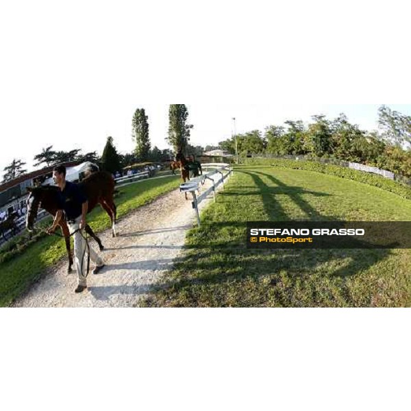 Settimo Milanese - selected yearlings sales Settimo Milanese, 22nd sept.2006 ph. Stefano Grasso