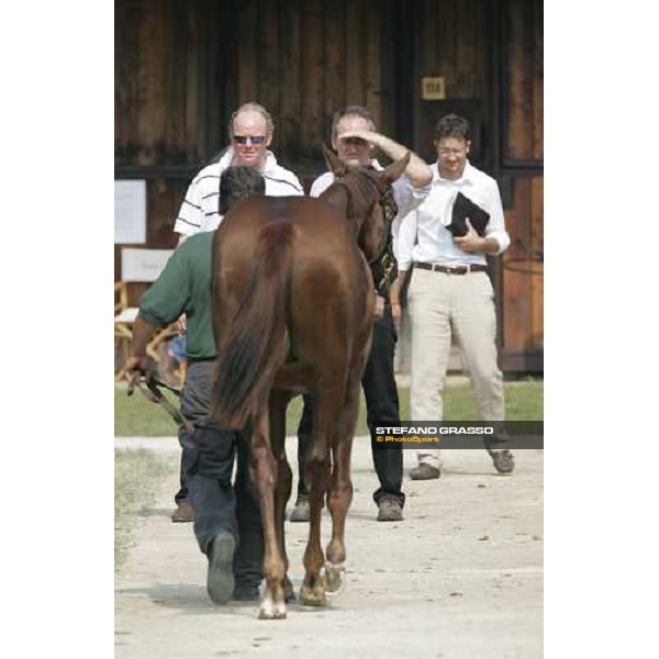 Settimo Milanese - selected yearlings sales Settimo Milanese, 22nd sept.2006 ph. Stefano Grasso