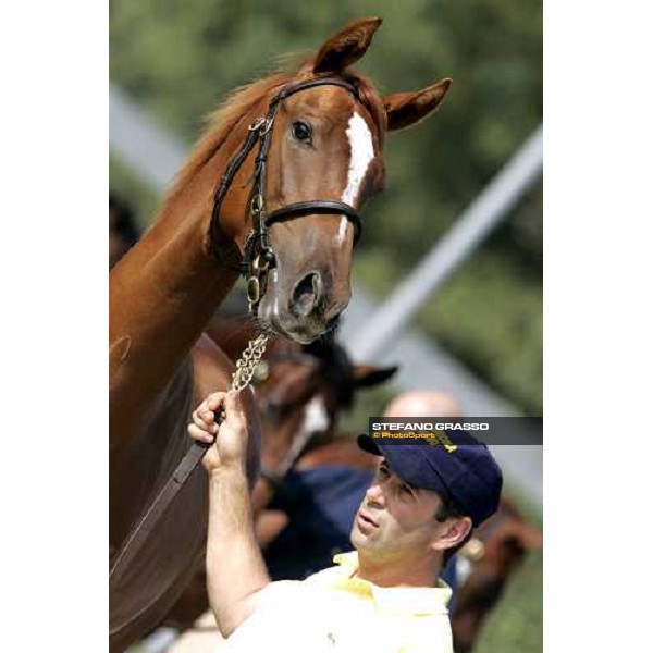 Settimo Milanese - selected yearlings sales Settimo Milanese, 22nd sept.2006 ph. Stefano Grasso