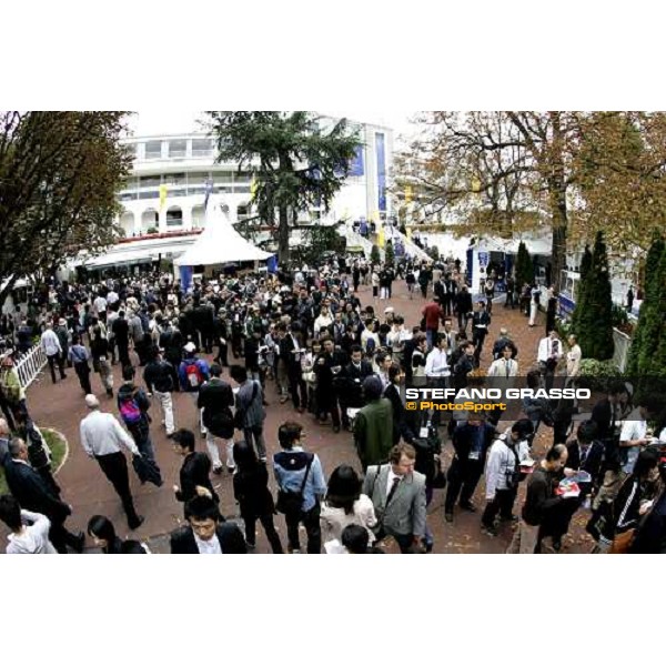 Japanese supporters of Deep impact queing for informations at Longchamp Paris Longchamp, 1st october 2006 ph. Stefano Grasso