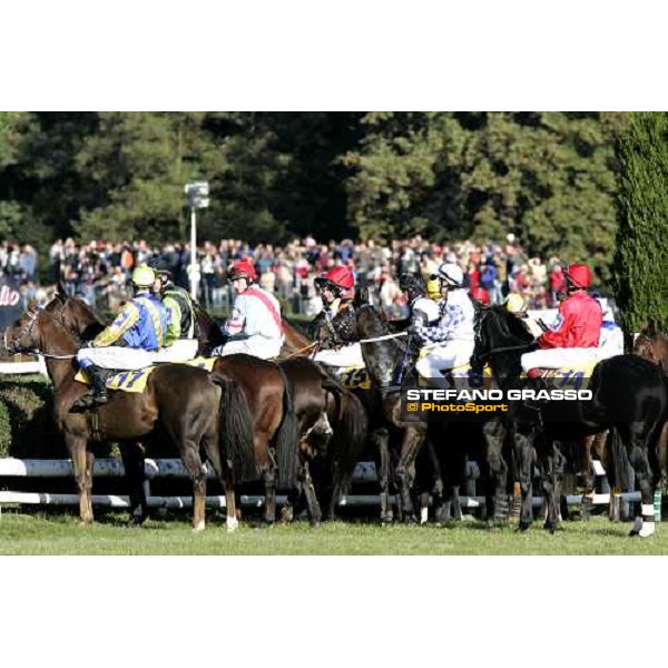 horses look the fence before the 116¡ Velka pardubicka Ceske Pojistovny Pardubice, 8th october 2006 ph. Stefano Grasso