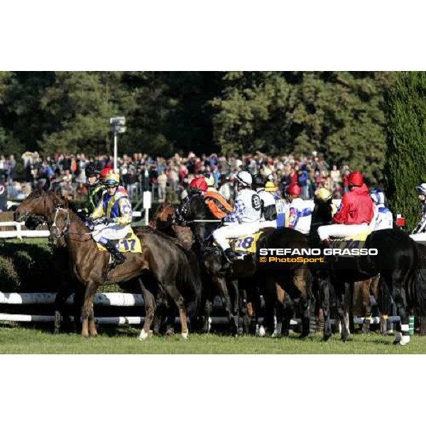 the horses before the 116¡ Velka pardubicka Ceske Pojistovny - the winner Decent Fellow(17) Pardubice, 8th october 2006 ph. Stefano Grasso