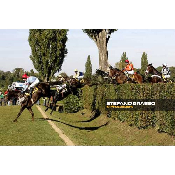 Klip leads the group after the Taxis jump- the winner Decent Fellow jumps 3rd in the 116¡ Velka pardubicka Ceske Pojistovny Pardubice, 8th october 2006 ph. Stefano Grasso