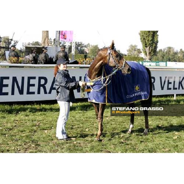 Decent Fellow with his groom after the triumph in the 116¡ Velka pardubicka Ceske Pojistovny Pardubice, 8th october 2006 ph. Stefano Grasso