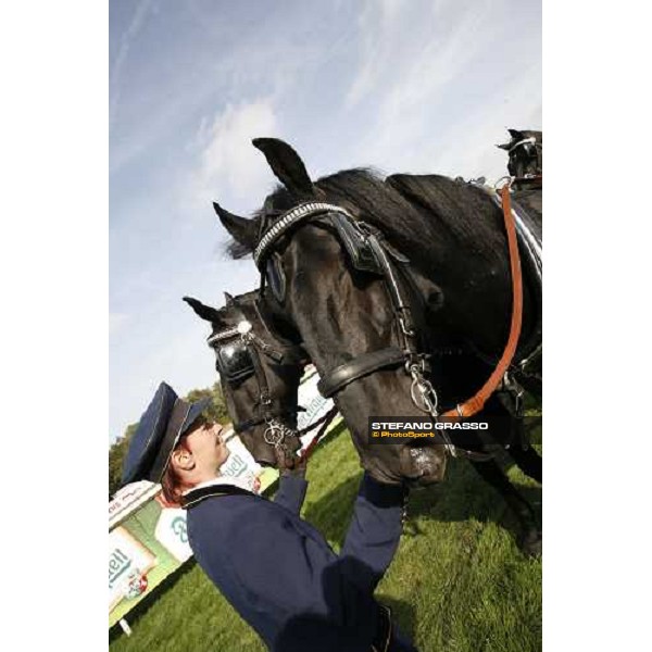 Kladubrer horses at Pardubice racetrack for the 116.¡ Velka Pardubicka Pardubice race track, 8th october 2006 ph. Stefano Grasso