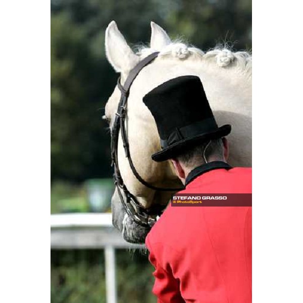 parading of Kladruber horses at the racecourse of Pardubice for the 116¡ Velka Pardubicka PArdubice, 8th october 2006 ph. Stefano Grasso