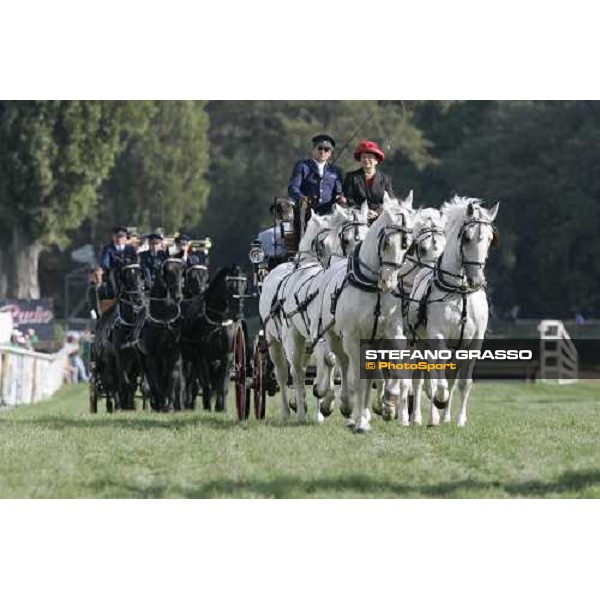 parading of Kladruber horses at the racecourse of Pardubice for the 116¡ Velka Pardubicka PArdubice, 8th october 2006 ph. Stefano Grasso