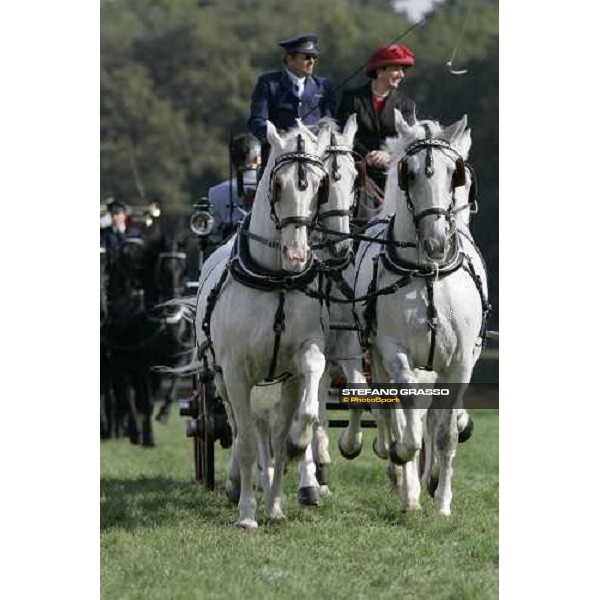 parading of Kladruber horses at the racecourse of Pardubice for the 116¡ Velka Pardubicka PArdubice, 8th october 2006 ph. Stefano Grasso