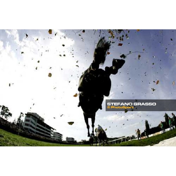 horses jump in front of Pardubice grandstands for the 116¡ Velka Pardubicka PArdubice, 8th october 2006 ph. Stefano Grasso