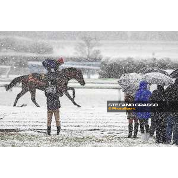 The 36th Japan Cup in association with Longines - Morning track works at Fuchu racecourse - Erupt Tokyo,24th nov.2016 ph.Stefano Grasso