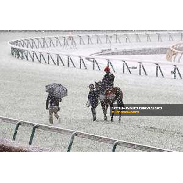 Morning track works at Fuchu racecourse - Erupt and his connection Tokyo,24th nov.2016 ph.Stefano Grasso