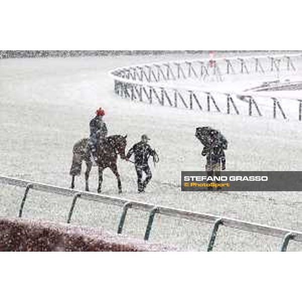 Morning track works at Fuchu racecourse - Erupt and his connection Tokyo,24th nov.2016 ph.Stefano Grasso