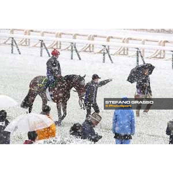 Morning track works at Fuchu racecourse - Erupt and his connection Tokyo,24th nov.2016 ph.Stefano Grasso