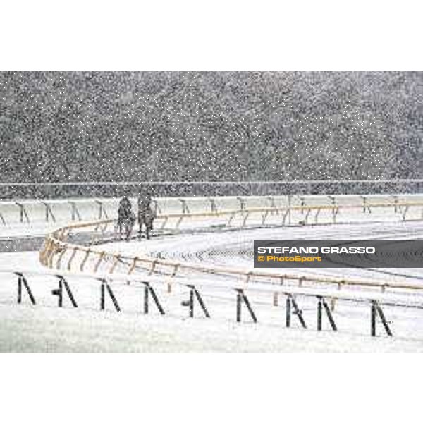 Morning track works at Fuchu racecourse - Iquitos and Nightflower Tokyo,24th nov.2016 ph.Stefano Grasso