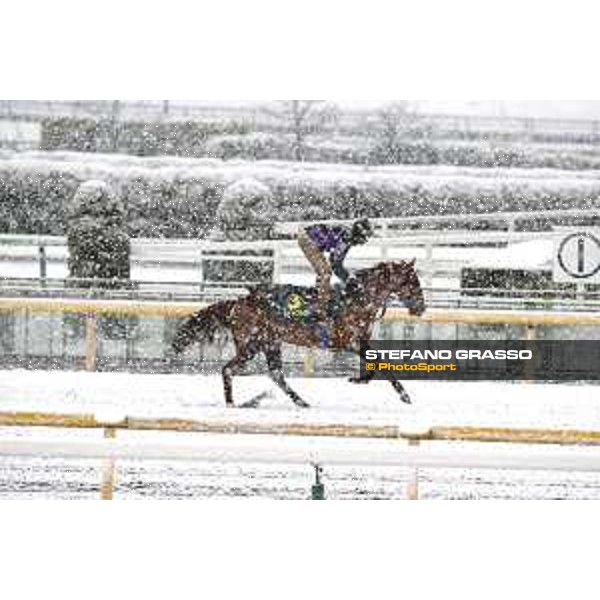 Morning track works at Fuchu racecourse - Nightflower Tokyo,24th nov.2016 ph.Stefano Grasso