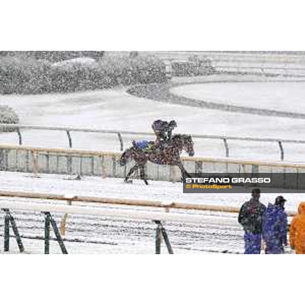 Morning track works at Fuchu racecourse - Nightflower Tokyo,24th nov.2016 ph.Stefano Grasso