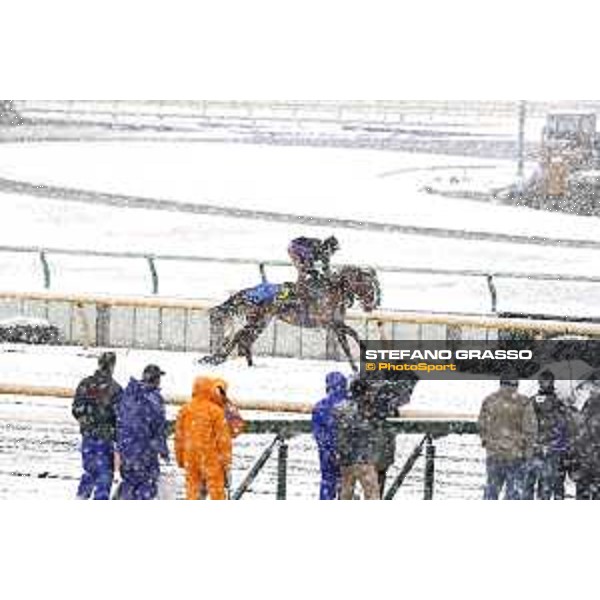 Morning track works at Fuchu racecourse - Nightflower Tokyo,24th nov.2016 ph.Stefano Grasso
