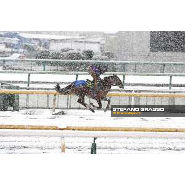 Morning track works at Fuchu racecourse - Nightflower Tokyo,24th nov.2016 ph.Stefano Grasso
