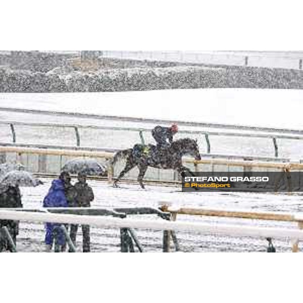 Morning track works at Fuchu racecourse - Iquitos Tokyo,24th nov.2016 ph.Stefano Grasso