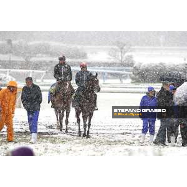 Morning track works at Fuchu racecourse - Iquitos and Nightflower Tokyo,24th nov.2016 ph.Stefano Grasso