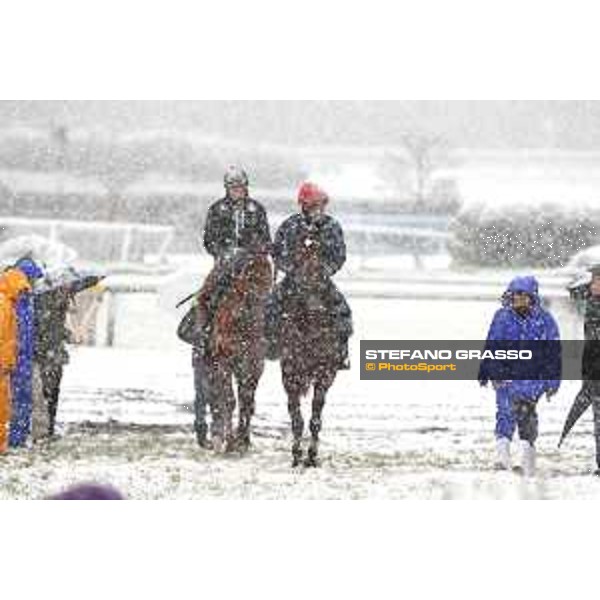 Morning track works at Fuchu racecourse - Iquitos and Nightflower Tokyo,24th nov.2016 ph.Stefano Grasso