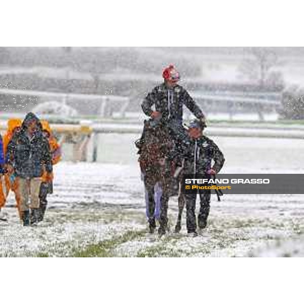 Morning track works at Fuchu racecourse - Erupt and his connection Tokyo,24th nov.2016 ph.Stefano Grasso
