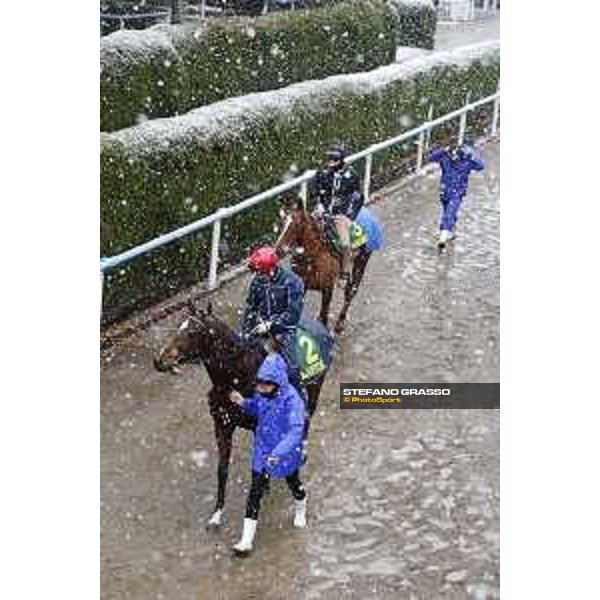 Morning track works at Fuchu racecourse - Iquitos and Nightflower Tokyo,24th nov.2016 ph.Stefano Grasso