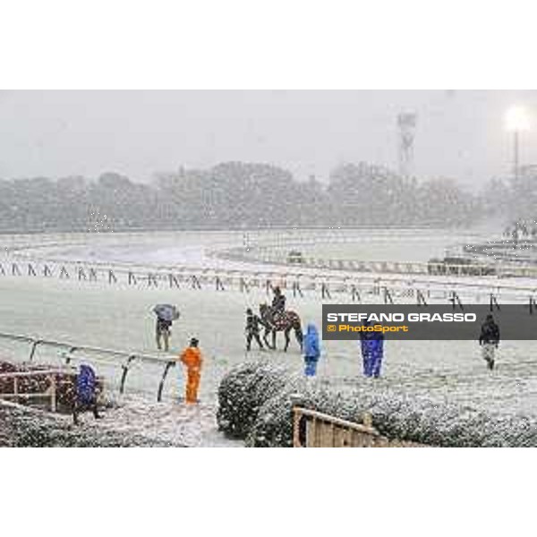 Morning track works at Fuchu racecourse - Erupt Tokyo,24th nov.2016 ph.Stefano Grasso