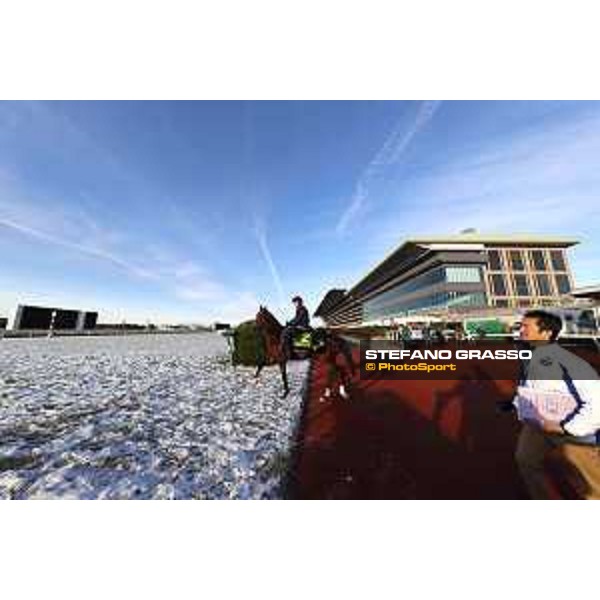 The 36th Japan Cup in association with Longines - Morning track works at Fuchu racecourse - Iquitos Tokyo,25th nov.2016 ph.Stefano Grasso