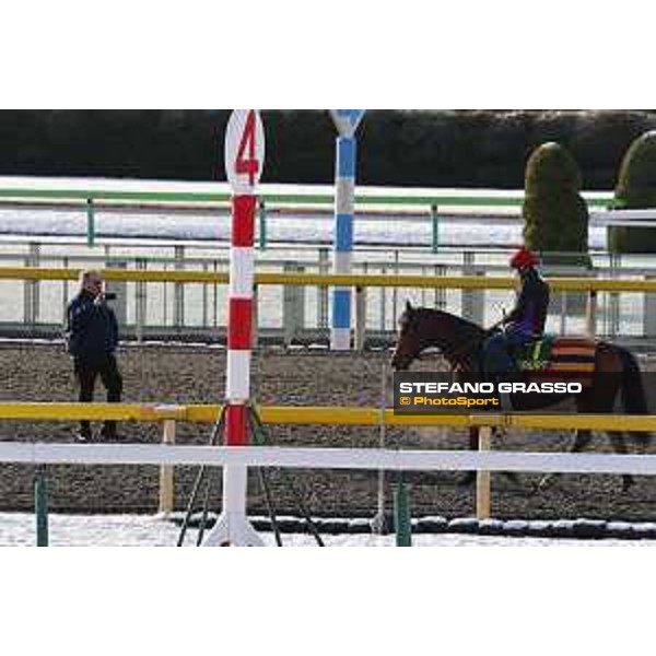 The 36th Japan Cup in association with Longines - Morning track works at Fuchu racecourse - Alan Copper and Erupt Tokyo,25th nov.2016 ph.Stefano Grasso
