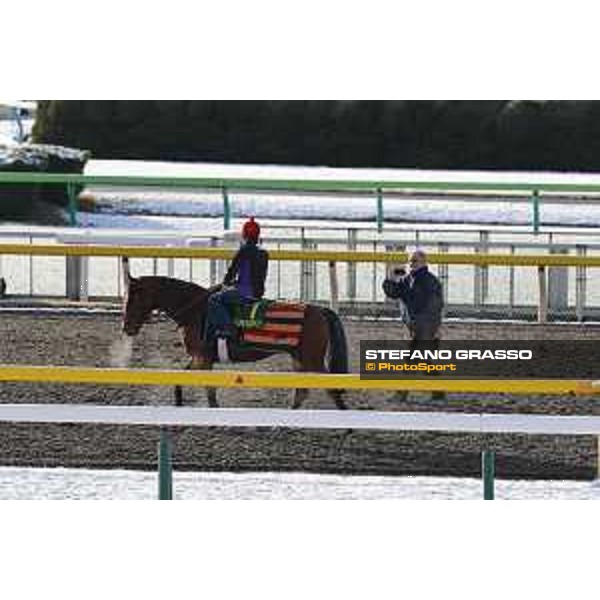The 36th Japan Cup in association with Longines - Morning track works at Fuchu racecourse - Alan Copper and Erupt Tokyo,25th nov.2016 ph.Stefano Grasso