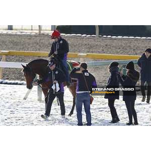 The 36th Japan Cup in association with Longines - Morning track works at Fuchu racecourse - Erupt and his connection Tokyo,25th nov.2016 ph.Stefano Grasso