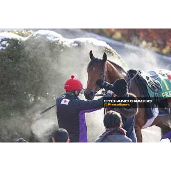The 36th Japan Cup in association with Longines - Morning track works at Fuchu racecourse - A caress to Erupt by Electra Niarchos Tokyo,25th nov.2016 ph.Stefano Grasso
