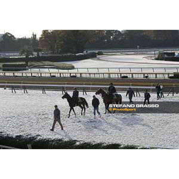 The 36th Japan Cup in association with Longines - Morning track works at Fuchu racecourse - Iquitos and Nightflower Tokyo,25th nov.2016 ph.Stefano Grasso