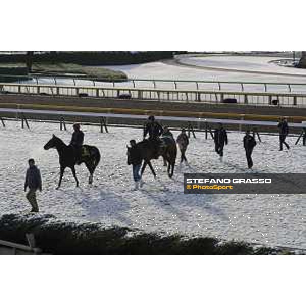 The 36th Japan Cup in association with Longines - Morning track works at Fuchu racecourse - Iquitos and Nightflower Tokyo,25th nov.2016 ph.Stefano Grasso