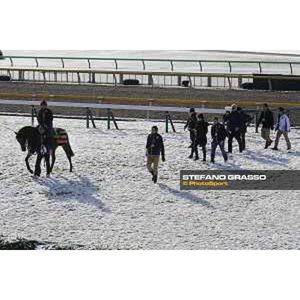 The 36th Japan Cup in association with Longines - Morning track works at Fuchu racecourse - Erupt and his connection Tokyo,25th nov.2016 ph.Stefano Grasso