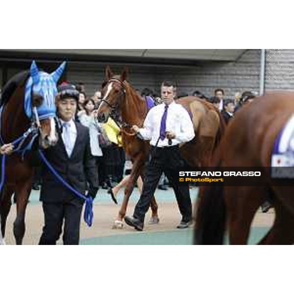 The 36th Japan Cup in association with Longines - Nightflower Tokyo,27th nov.2016 ph.Stefano Grasso/Longines