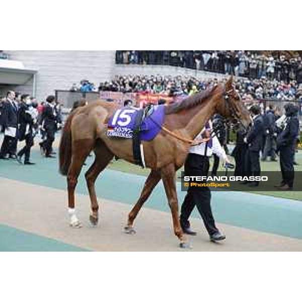 The 36th Japan Cup in association with Longines - Nightflower Tokyo,27th nov.2016 ph.Stefano Grasso/Longines