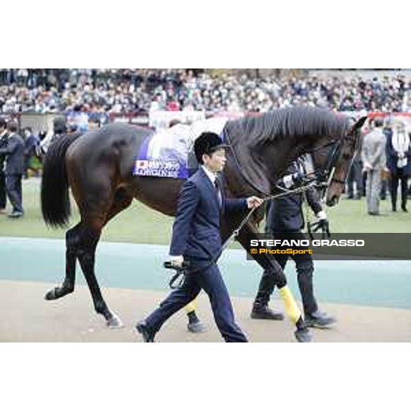 The 36th Japan Cup in association with Longines - Kitasan Black Tokyo,27th nov.2016 ph.Stefano Grasso/Longines