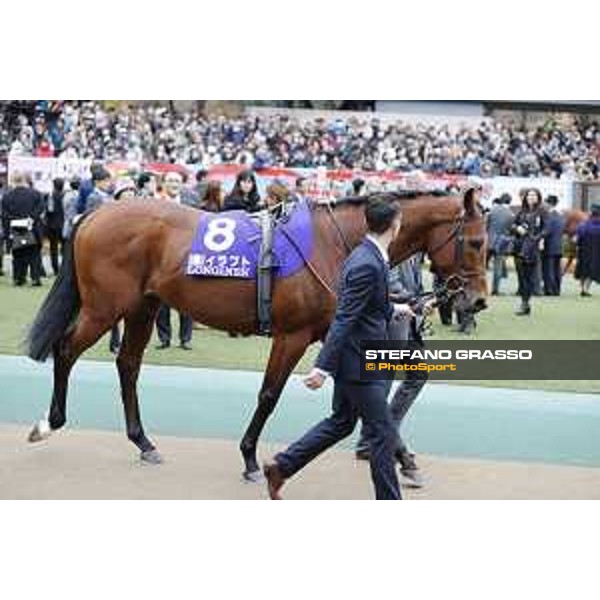 The 36th Japan Cup in association with Longines - Erupt Tokyo,27th nov.2016 ph.Stefano Grasso/Longines