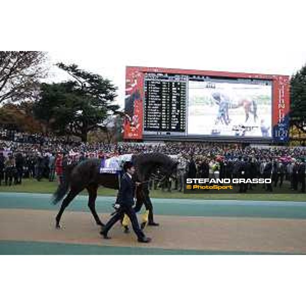 The 36th Japan Cup in association with Longines - Kitasan Black Tokyo,27th nov.2016 ph.Stefano Grasso/Longines