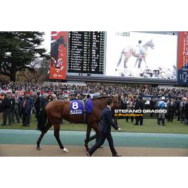 The 36th Japan Cup in association with Longines - Erupt Tokyo,27th nov.2016 ph.Stefano Grasso/Longines