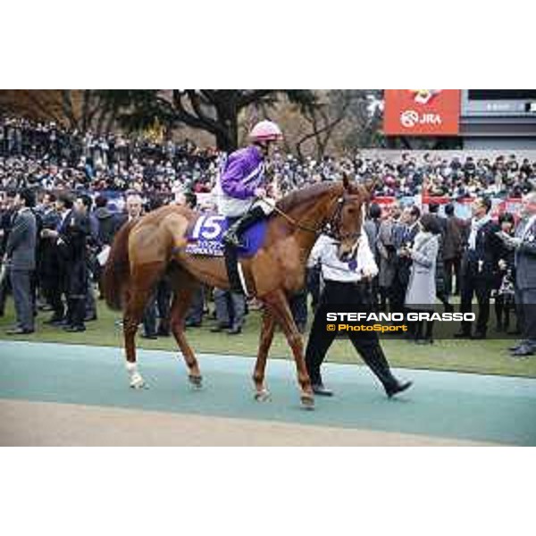 The 36th Japan Cup in association with Longines - Andrasch Starke on Nightflower Tokyo,27th nov.2016 ph.Stefano Grasso/Longines