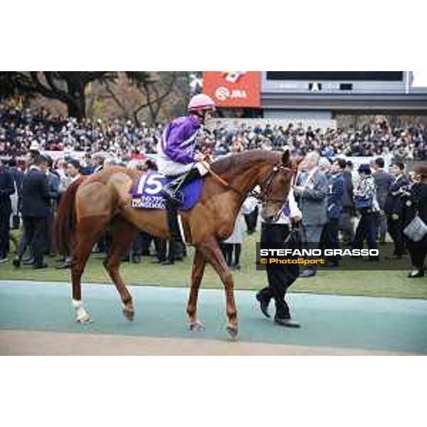 The 36th Japan Cup in association with Longines - Andrasch Starke on Nightflower Tokyo,27th nov.2016 ph.Stefano Grasso/Longines
