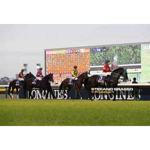The 36th Japan Cup in association with Longines - Ian Ferguson on Iquitos Tokyo,27th nov.2016 ph.Stefano Grasso/Longines