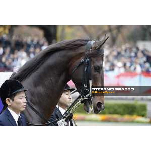 The 36th Japan Cup in association with Longines - Kitasan Black Tokyo,27th nov.2016 ph.Stefano Grasso/Longines