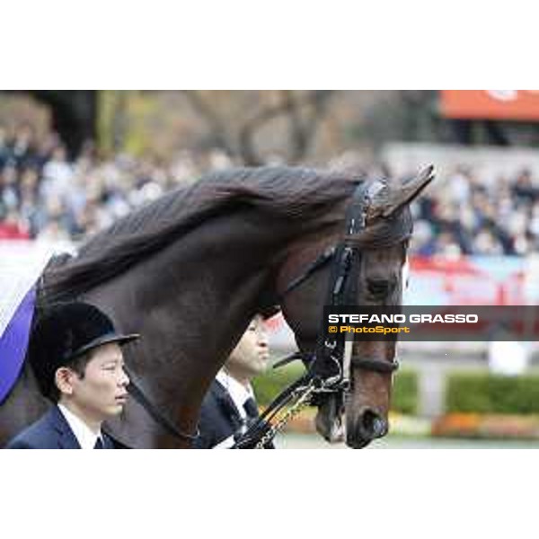 The 36th Japan Cup in association with Longines - Kitasan Black Tokyo,27th nov.2016 ph.Stefano Grasso/Longines